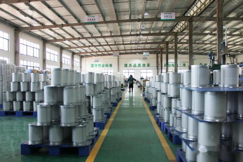 火力全開！伊普思福建工廠成功投產(chǎn)，第1000臺(tái)干燥機(jī)正式下線交付